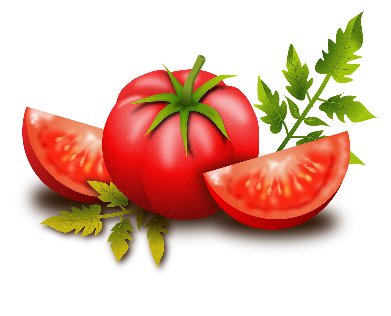 Langer Seva, tomato, fruits, vegetables-2514018.jpg
