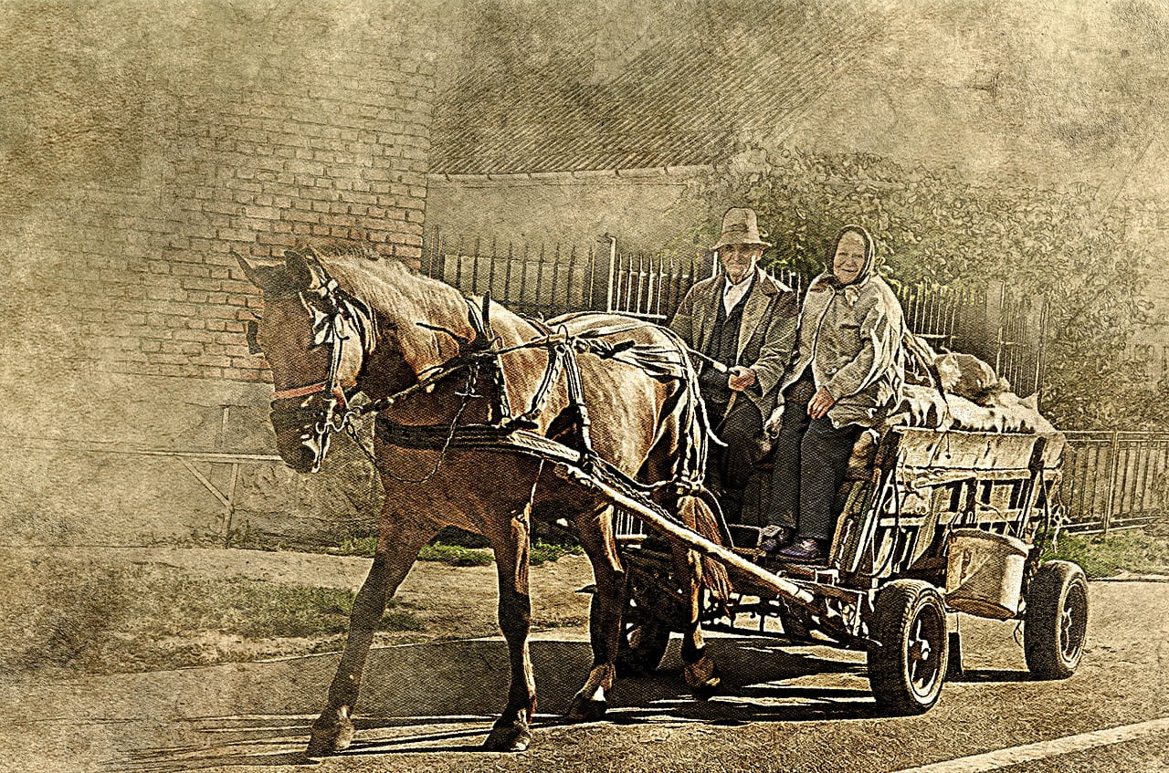Senior Citizens and Social Media,horse, farm wagon, old couple-2372711.jpg