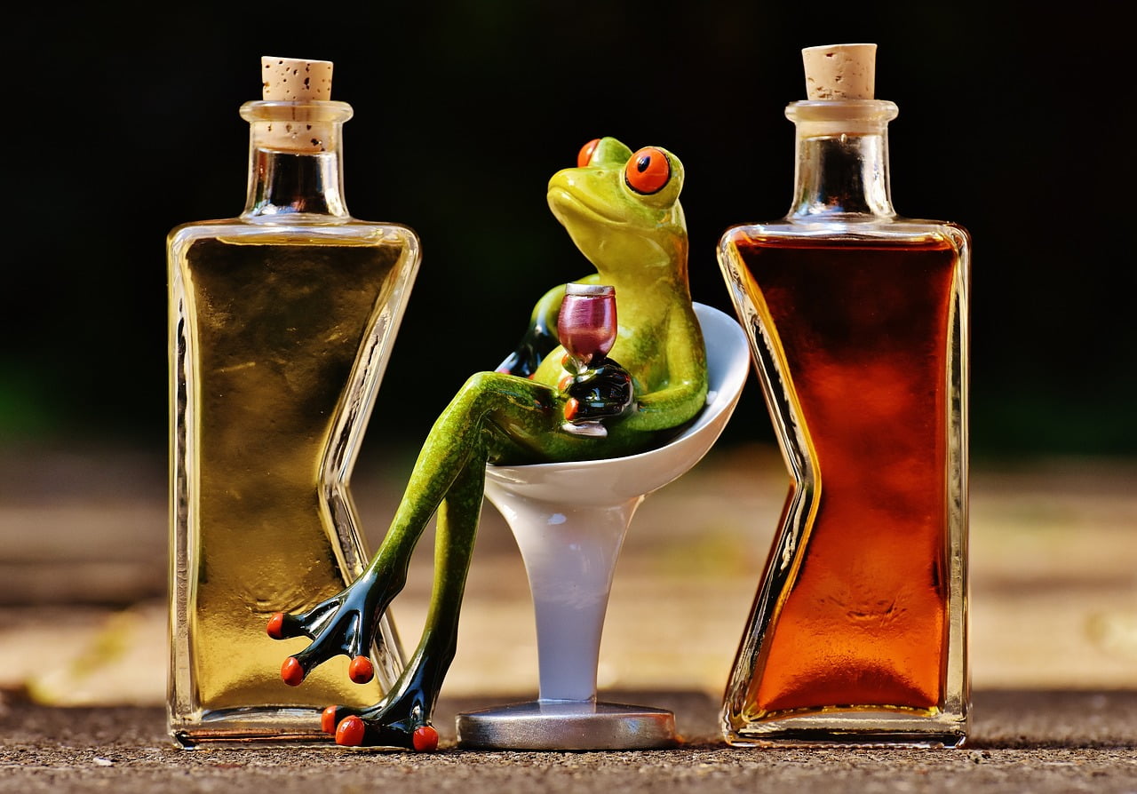 illusion of an easy life, frogs, chick, beverages-1650658.jpg