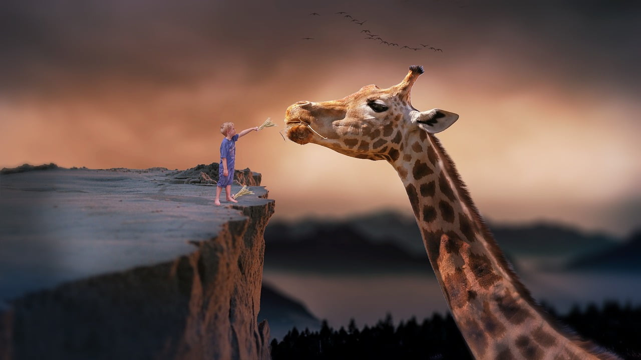 dreams, giraffe, child, nature-1959110.jpg