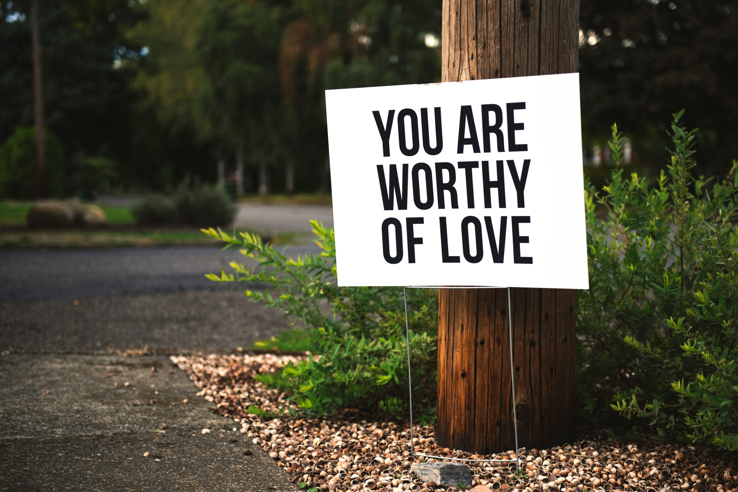 dignity, you are worthy of love sign beside tree and road
